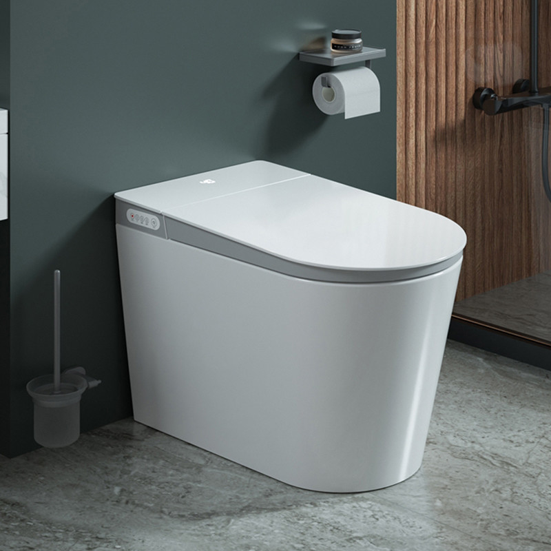 Het ceramische Bidet van de Kom Elektrische Automatische Gelijke WC van het Vloer Ééndelige Intelligente Slimme Toilet