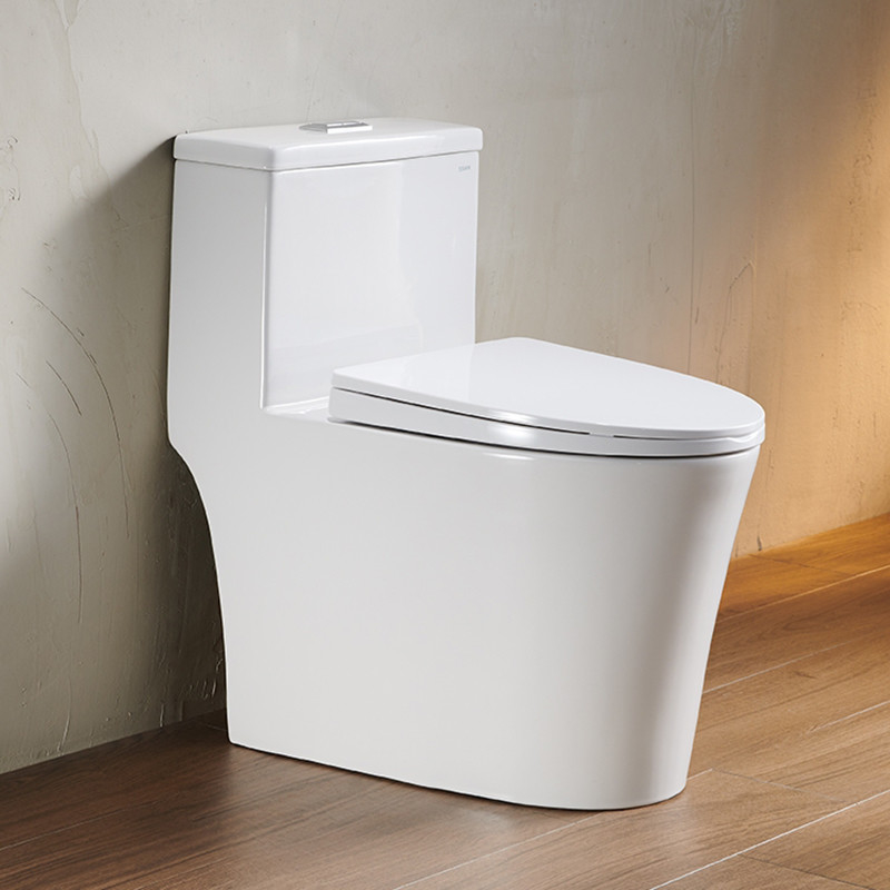Ééndelige Dubbele opgezette de Sifon Spoelende Vloer van Badkamers Ceramische Toilet 4,2/6L -
