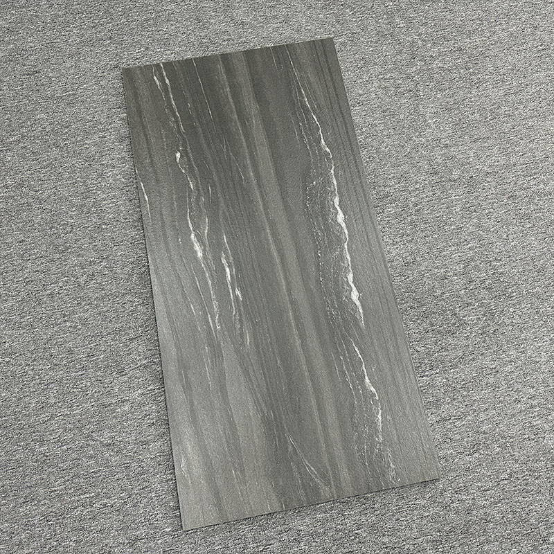 Grey Living Room Rustic Porcelain-niet de Misstaptegel Matte Finished van de Vloertegel