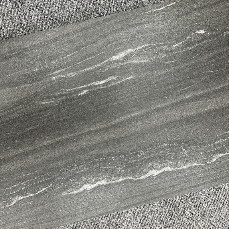 Grey Living Room Rustic Porcelain-niet de Misstaptegel Matte Finished van de Vloertegel