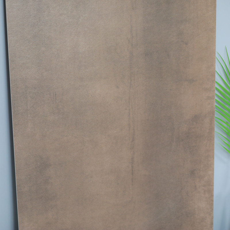 Tegels van de de Kleuren Binnenlandse Vloer van de Foshan de Nieuwe Stijl Bruine, Rustieke de Muurtegels van 600x1200