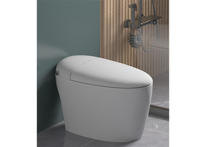 HOMIXE-van de Sensor het Elektrische Automatische Gelijke WC van de Badkamersluxe Één stuk van de het Bidet Ceramische Vloer