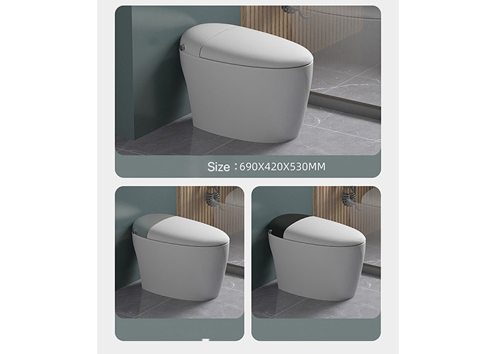 HOMIXE-van de Sensor het Elektrische Automatische Gelijke WC van de Badkamersluxe Één stuk van de het Bidet Ceramische Vloer