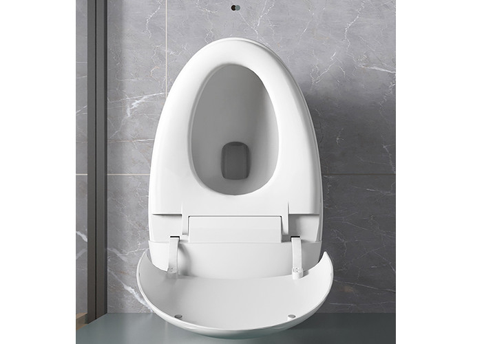 HOMIXE-van de Sensor het Elektrische Automatische Gelijke WC van de Badkamersluxe Één stuk van de het Bidet Ceramische Vloer