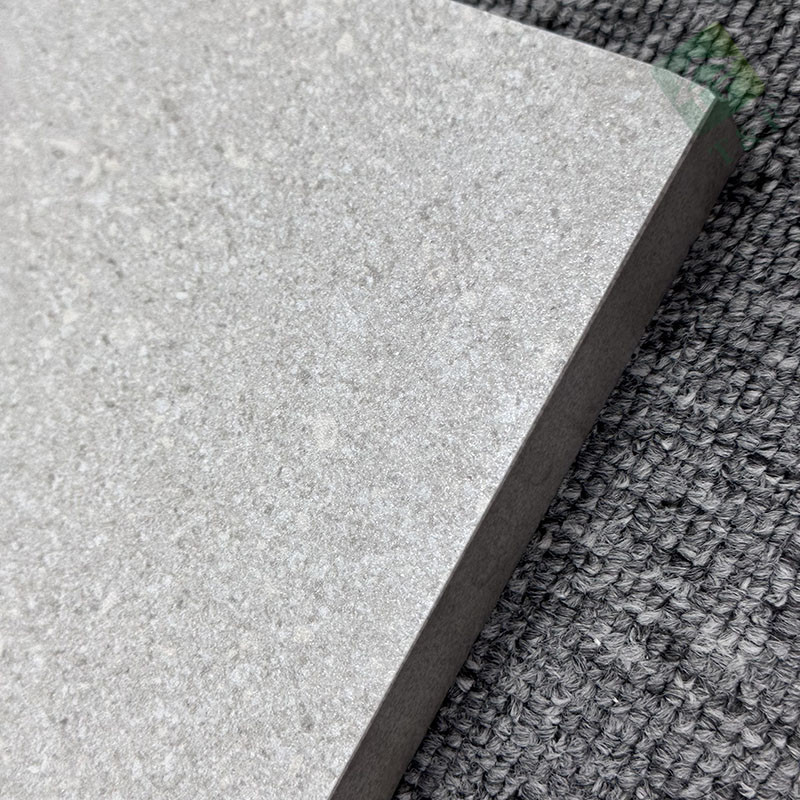 600*600mm Vloer van het de Tegelsporselein niet van Misstap de Ruwe Matte Finished Exterior Garden Pavers