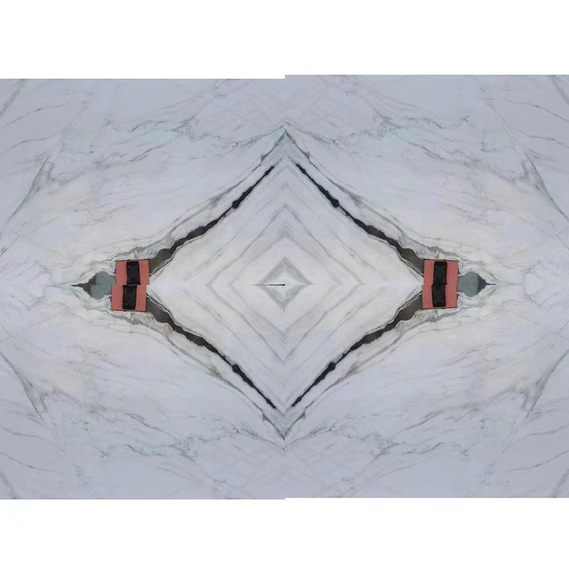 Zwarte Natuurlijke Marmeren de Steenplak van Aders Witte Marmeren Panda White Wall Flooring Stairs